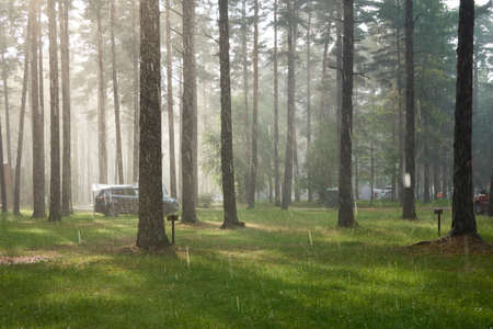 Camping site in the evergreen pine forest during the rain and thunderstorm. Summer rural scene. Scandinavia. Fickle weather, nature, eco tourism, road trip, vacations, weekend getawayの写真素材