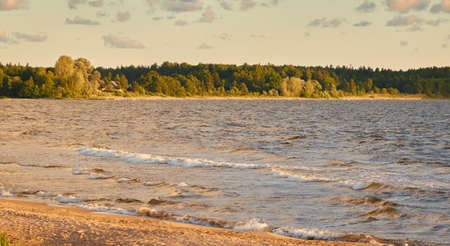 Baltic sea shore. Evergreen pine forest. Dramatic sky, glowing sunset clouds. Picturesque panoramic scenery. Nature, environment, eco tourism, hiking, exploring conceptの写真素材
