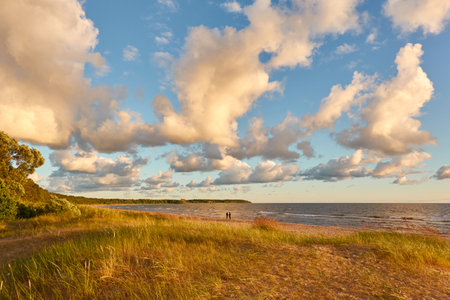 Baltic sea shore.の写真素材