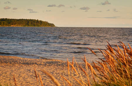 Baltic sea shore. Beach, sand dunes, dune grass. Dramatic sky, glowing sunset clouds. Picturesque panoramic scenery. Nature, environment, eco tourism, hiking, exploring conceptの写真素材
