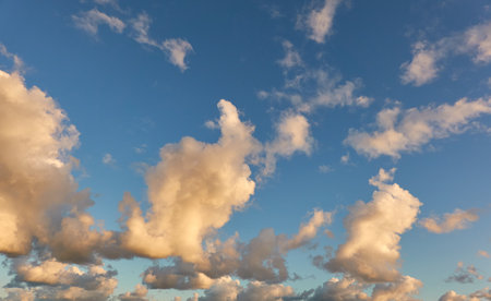 Clear blue sky.の写真素材