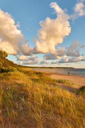 Baltic sea shore.の写真素材
