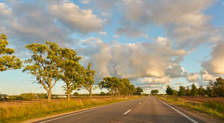 Highway (new asphalt road) through the agricultural field and forest at sunset. Dramatic sky after the thunderstorm. Summer, early autumn. Vacations, adventure, road trip, remote places. View from carの写真素材