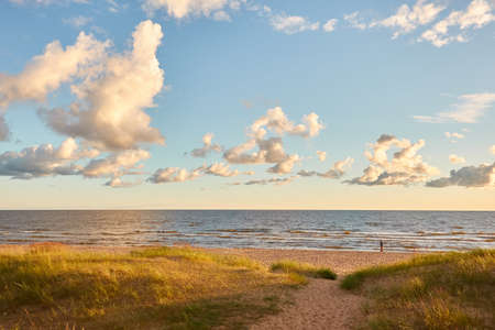 Baltic sea shore. Beach, sand dunes, dune grass. Dramatic sky, glowing sunset clouds. Picturesque panoramic scenery. Nature, environment, eco tourism, hiking, exploring conceptの写真素材