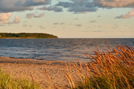 Baltic sea shore. Beach, sand dunes, dune grass. Dramatic sky, glowing sunset clouds. Picturesque panoramic scenery. Nature, environment, eco tourism, hiking, exploring conceptの写真素材