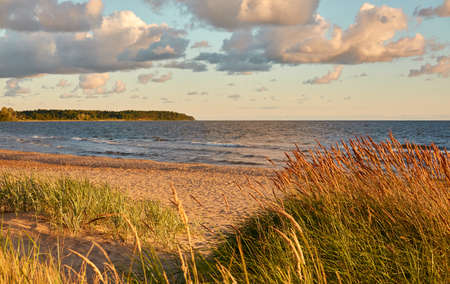 Baltic sea shore. Beach, sand dunes, dune grass. Dramatic sky, glowing sunset clouds. Picturesque panoramic scenery. Nature, environment, eco tourism, hiking, exploring conceptの写真素材