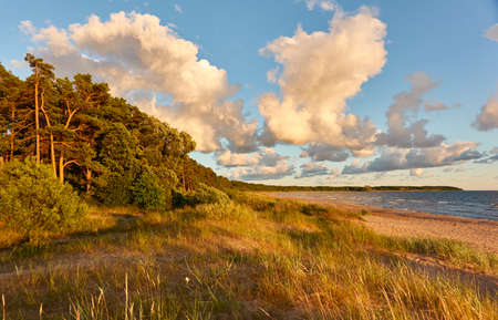 Baltic sea shore (sand dunes, beach). Evergreen pine forest, dune grass. Dramatic sky, glowing sunset clouds. Picturesque panoramic scenery. Nature, environment, eco tourism, hiking, exploring conceptの写真素材