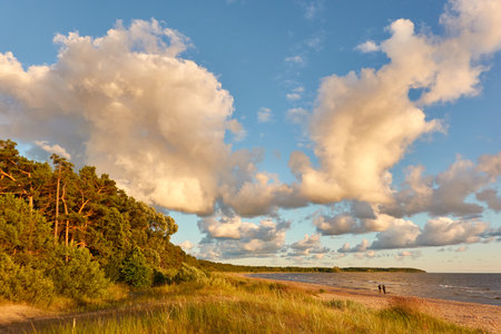 Baltic sea shore.の写真素材