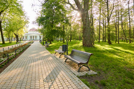 Alley in city park. Benches, floral decoration, bicycle road, trees, flowers, plants. Liepaja, Latvia. Summer landscape. Public places, urban planning, landscaping design, gardening, recreation themesの写真素材