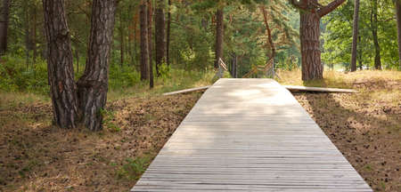 Modern wooden bridge (boardwalk, walkway, bicycle road) in a forest park. Summer landscape. Nature, fresh air, eco tourism, hiking, nordic walking, cycling, recreation, sport, healthy lifestyle themesの写真素材