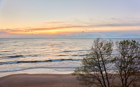 Baltic sea shore at sunset.の写真素材