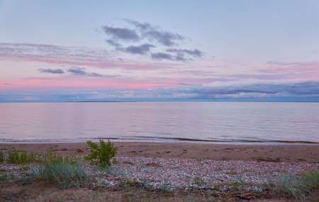 Baltic sea shore (beach) at sunset, panoramic view. Pebbles, trees. Soft sunlight, midnight sun. Saaremaa island, Estonia. Atmospheric summer landscapeの写真素材