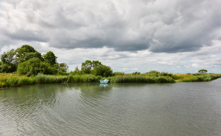Small rowing boat anchored in forest river. Estonia.の写真素材