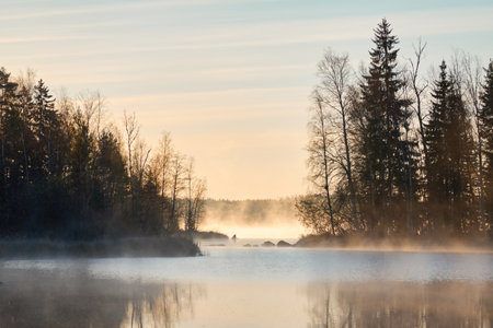 Panoramic view of the forest lake at sunrise. Soft golden sunlight, clear blue sky, reflections on water, fog, frost. Mighty trees. Finland. Nature, seasons, ecology, environment, eco tourism themesの写真素材