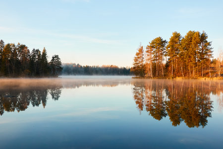 Panoramic view of the forest lake at sunrise. Soft golden sunlight, clear blue sky, reflections on water, fog, frost. Mighty trees. Finland. Nature, seasons, ecology, environment, eco tourism themesの写真素材