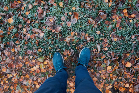 Man in blue jeans and trekking boots standing on forest floor of dry golden leaves and green grass. Crystal clear frost, first snow. Autumn, early winter..Nordic walking, hiking, healthy lifestyleの写真素材