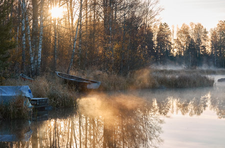 Wooden rowing boat anchored to the forest lakeshore. Sunrise. Pure sunlight, fog, frost. Finland. Idyllic landscape, rural scene. Autumn, early winter. Nature, seasons, eco tourism, fishing themesの写真素材