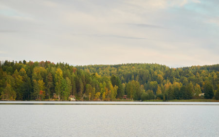 Majestic evergreen forest and Suiro lake (Kulovesi). Finland. Scandinavia, Europe. Reflections in a still water, clear sky. Autumn landscape. Nature, seasons, ecotourism, peace and harmony conceptsの写真素材