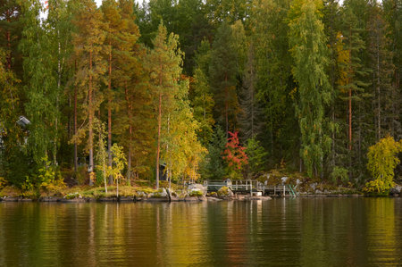 Majestic evergreen forest and lake at sunset. Wooden pier. Autumn. Suiro lake (Kulovesi), Finland. Panoramic view. Pure nature, ecotourism, fishing, swimming, hiking, remote places conceptsの写真素材