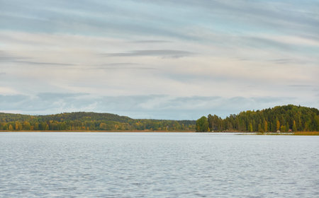 Majestic evergreen forest and Suiro lake (Kulovesi). Finland. Scandinavia, Europe. Reflections in a still water, clear sky. Autumn landscape. Nature, seasons, ecotourism, peace and harmony conceptsの写真素材