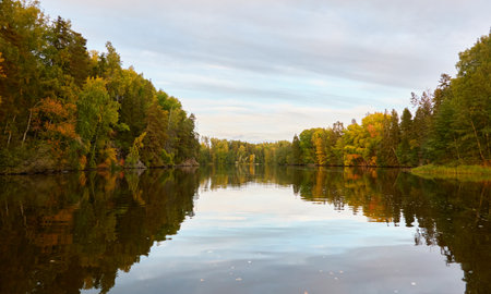 Majestic evergreen forest and Suiro lake (Kulovesi). Finland. Scandinavia, Europe. Reflections in a still water, clear sky. Autumn landscape. Nature, seasons, ecotourism, peace and harmony conceptsの写真素材