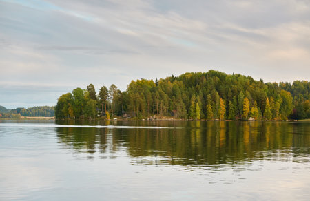 Majestic evergreen forest and Suiro lake (Kulovesi). Finland. Scandinavia, Europe. Reflections in a still water, clear sky. Autumn landscape. Nature, seasons, ecotourism, peace and harmony conceptsの写真素材