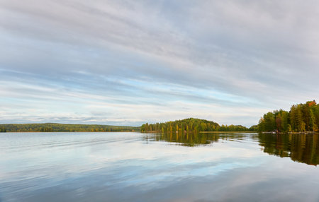 Majestic evergreen forest and Suiro lake (Kulovesi). Finland. Scandinavia, Europe. Reflections in a still water, clear sky. Autumn landscape. Nature, seasons, ecotourism, peace and harmony conceptsの写真素材