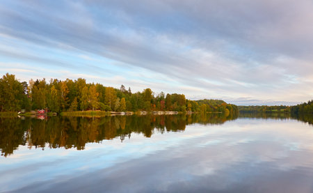 Majestic evergreen forest and Suiro lake (Kulovesi). Finland. Scandinavia, Europe. Reflections in a still water, clear sky. Autumn landscape. Nature, seasons, ecotourism, peace and harmony conceptsの写真素材