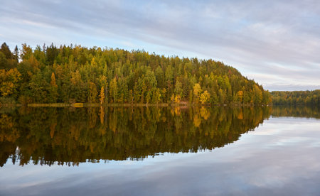 Majestic evergreen forest and Suiro lake (Kulovesi). Finland. Scandinavia, Europe. Reflections in a still water, clear sky. Autumn landscape. Nature, seasons, ecotourism, peace and harmony conceptsの写真素材