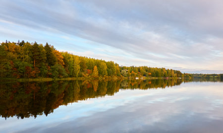 Majestic evergreen forest and Suiro lake (Kulovesi). Finland. Scandinavia, Europe. Reflections in a still water, clear sky. Autumn landscape. Nature, seasons, ecotourism, peace and harmony conceptsの写真素材