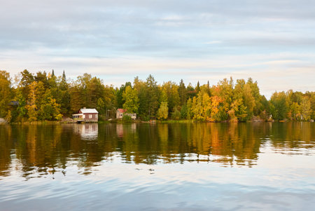 Small wooden house. Majestic evergreen forest and lake at sunset. Autumn. Suiro lake (Kulovesi), Finland. Panoramic view. Pure nature, ecotourism, remote places conceptsの写真素材
