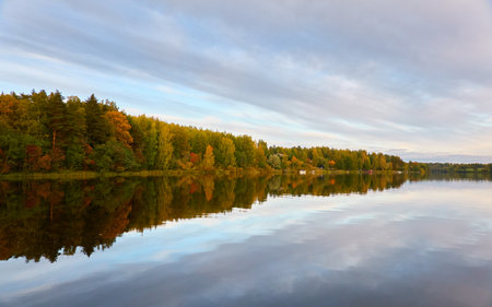 Majestic evergreen forest and Suiro lake (Kulovesi). Finland. Scandinavia, Europe. Reflections in a still water, clear sky. Autumn landscape. Nature, seasons, ecotourism, peace and harmony conceptsの写真素材