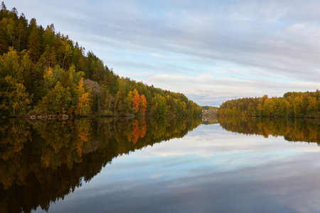 Majestic evergreen forest and Suiro lake (Kulovesi). Finland. Scandinavia, Europe. Reflections in a still water, clear sky. Autumn landscape. Nature, seasons, ecotourism, peace and harmony conceptsの写真素材