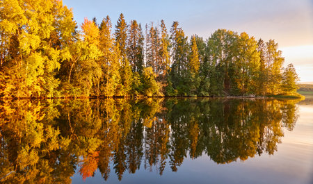 Majestic evergreen forest and lake at sunset. Soft golden sunlight, clear sky, glowing clouds.. Autumn. Suiro lake (Kulovesi), Finland. Panoramic view. Pure nature, ecotourism conceptsの写真素材