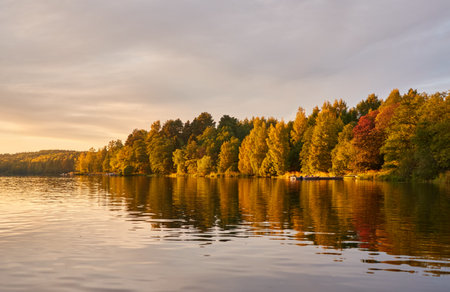 Majestic evergreen forest and lake at sunset. Soft golden sunlight, clear sky, glowing clouds.. Autumn. Suiro lake (Kulovesi), Finland. Panoramic view. Pure nature, ecotourism conceptsの写真素材