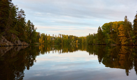 Majestic evergreen forest and Suiro lake (Kulovesi). Finland. Scandinavia, Europe. Reflections in a still water, clear sky. Autumn landscape. Nature, seasons, ecotourism, peace and harmony conceptsの写真素材