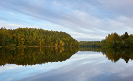 Majestic evergreen forest and Suiro lake (Kulovesi). Finland. Scandinavia, Europe. Reflections in a still water, clear sky. Autumn landscape. Nature, seasons, ecotourism, peace and harmony conceptsの写真素材