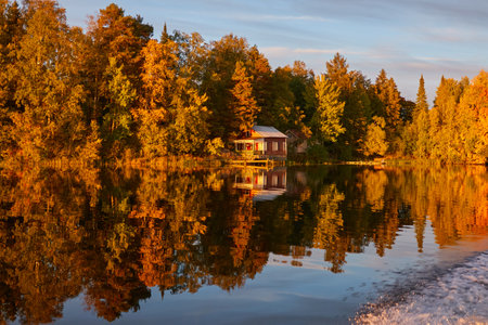 Small wooden house. Majestic evergreen forest and lake at sunset. Autumn. Suiro lake (Kulovesi), Finland. Panoramic view. Pure nature, ecotourism, remote places conceptsの写真素材