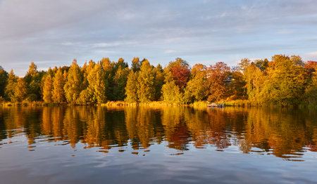 Majestic evergreen forest and lake at sunset. Soft golden sunlight, clear sky, glowing clouds.. Autumn. Suiro lake (Kulovesi), Finland. Panoramic view. Pure nature, ecotourism conceptsの写真素材