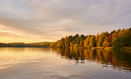 Majestic evergreen forest and lake at sunset. Soft golden sunlight, clear sky, glowing clouds.. Autumn. Suiro lake (Kulovesi), Finland. Panoramic view. Pure nature, ecotourism conceptsの写真素材