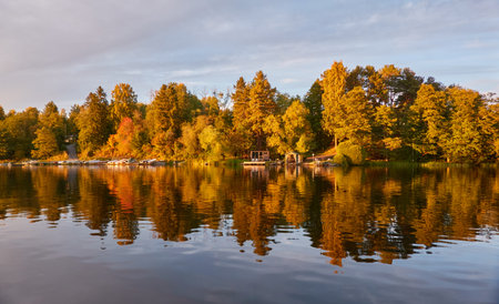 Motor boats, cutters and small fishing boats standing on land near the evergreen forest. Suiro lake (Kulovesi), Finland. Nature, ecotourism, hiking, camping conceptsの写真素材