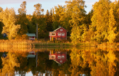 Small wooden house. Majestic evergreen forest and lake at sunset. Autumn. Suiro lake (Kulovesi), Finland. Panoramic view. Pure nature, ecotourism, remote places conceptsの写真素材