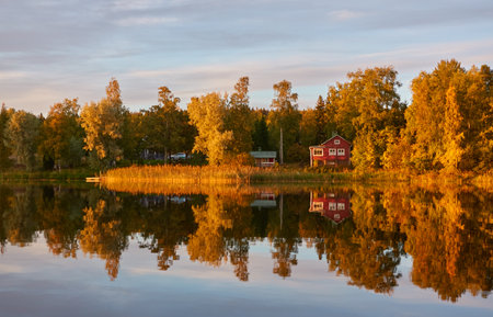 Small wooden house. Majestic evergreen forest and lake at sunset. Autumn. Suiro lake (Kulovesi), Finland. Panoramic view. Pure nature, ecotourism, remote places conceptsの写真素材