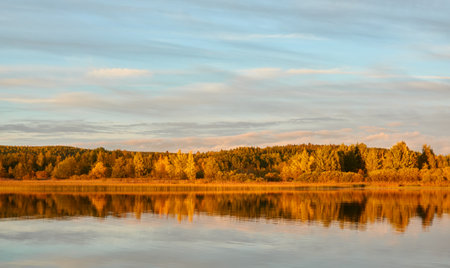Majestic evergreen forest and lake at sunset. Soft golden sunlight, clear sky, glowing clouds.. Autumn. Suiro lake (Kulovesi), Finland. Panoramic view. Pure nature, ecotourism conceptsの写真素材