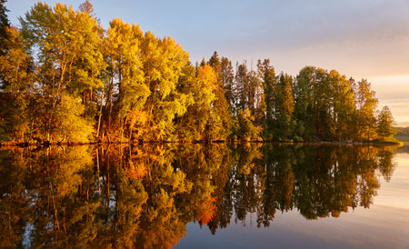 Majestic evergreen forest and lake at sunset. Soft golden sunlight, clear sky, glowing clouds.. Autumn. Suiro lake (Kulovesi), Finland. Panoramic view. Pure nature, ecotourism conceptsの写真素材