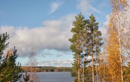 Panoramic view of the rocky forest lake shore on a sunny day. Autumn landscape. Finland, Finnish nature. Ecology, fresh air, ecotourism themesの写真素材