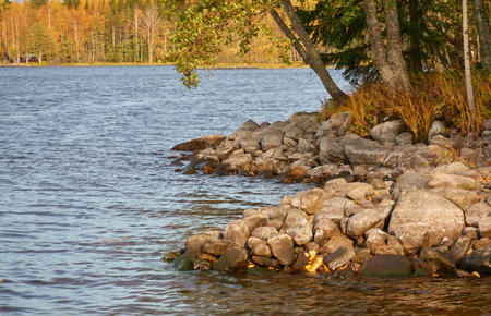 Panoramic view of the rocky forest lake shore on a sunny day. Autumn landscape. Finland, Finnish nature. Ecology, fresh air, ecotourism themesの写真素材