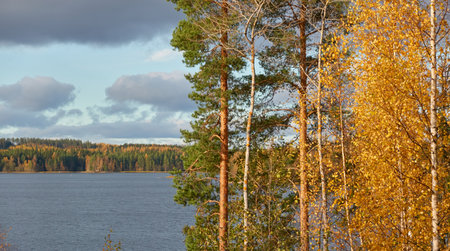 Panoramic view of the rocky forest lake shore on a sunny day. Autumn landscape. Finland, Finnish nature. Ecology, fresh air, ecotourism themesの写真素材