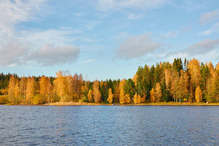 Panoramic view of the rocky forest lake shore on a sunny day. Autumn landscape. Finland, Finnish nature. Ecology, fresh air, ecotourism themesの写真素材