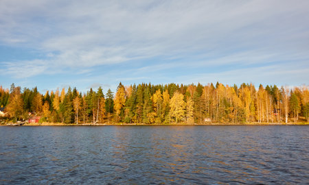 Panoramic view of the rocky forest lake shore on a sunny day. Autumn landscape. Finland, Finnish nature. Ecology, fresh air, ecotourism themesの写真素材